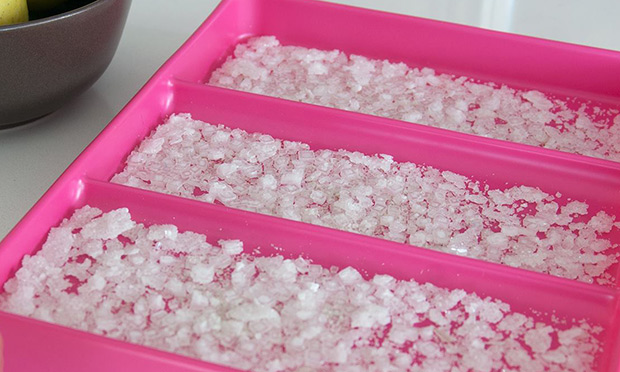 Cultivar sal en casa