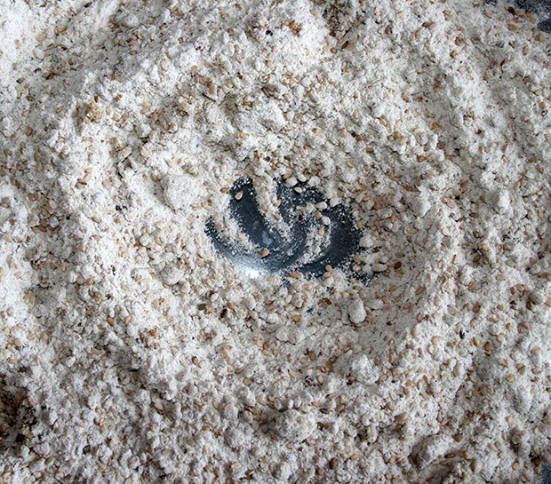 ¿La harina caduca? ¿Cómo saber si la podemos utilizar?