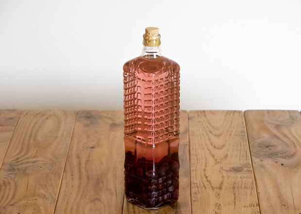 Guía rápida para hacer pacharán en casa