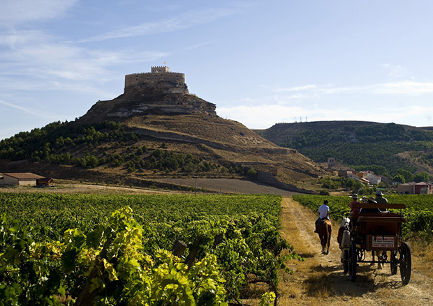 10 bodegas para visitar esta Semana Santa