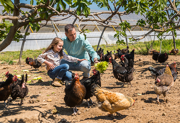 Un fin de semana para descubrir dónde y cómo se produce lo que comes