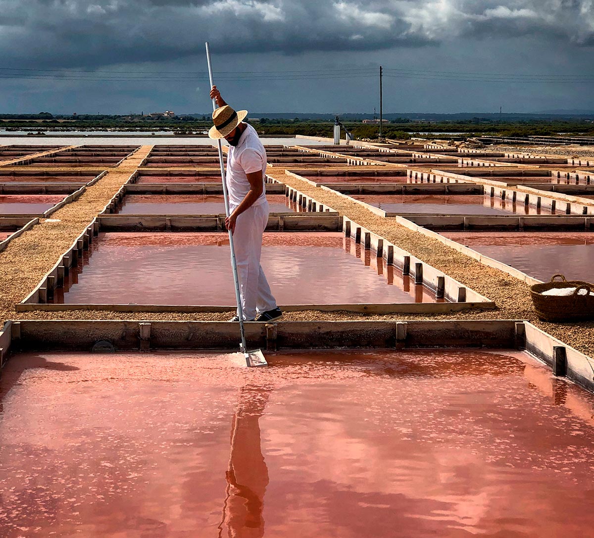 Sal y aceite de oliva. Una ruta gastronómica diferente para descubrir Mallorca este verano