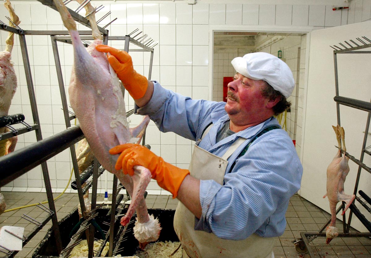 Hacia la prohibición del foie: próxima parada, Nueva York