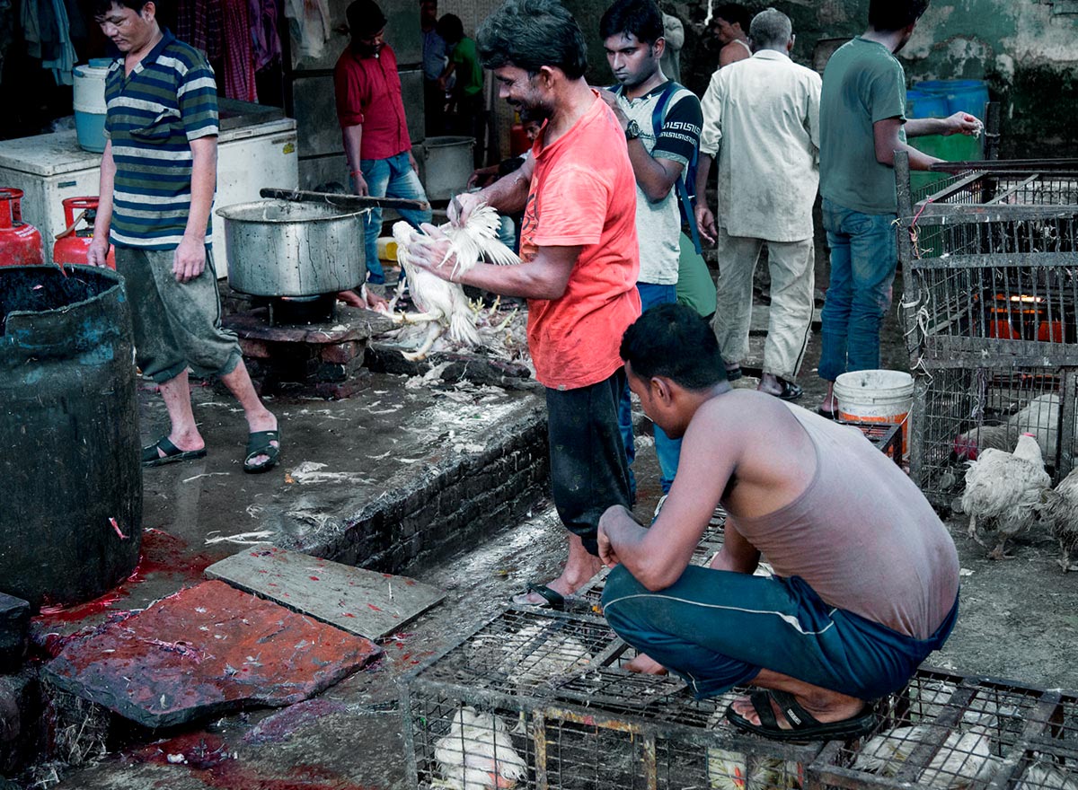 ¿Hay que prohibir los mercados de animales vivos? El coronavirus reabre el debate