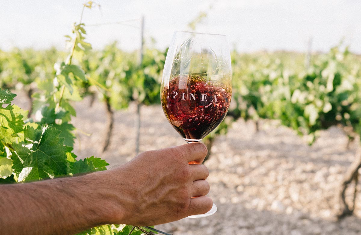 El vino con acento mexicano que se ha propuesto conquistar Ribera del Duero