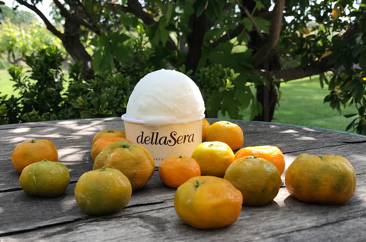 El helado que une a Franco Battiato con Logroño