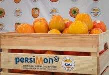 Caqui y Persimon, ¿son la misma fruta? ¿Cuál es la diferencia?