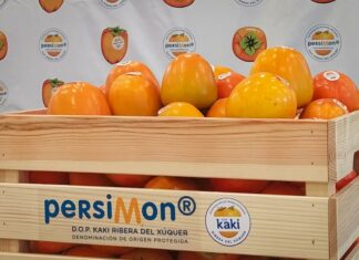 Caqui y Persimon, ¿son la misma fruta? ¿Cuál es la diferencia?