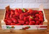¿Se te ponen malas las fresas? Este es el mejor método para que aguanten más tiempo
