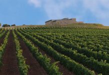 Buezo, la bodega que solo hace vinos de guarda